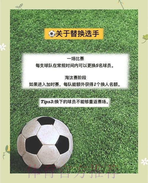 权威实时指南：揭秘世界杯投注策略
